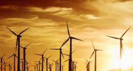 SECI’s 1200 MW wind energy sale gets tepid response