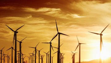 SECI’s 1200 MW wind energy sale gets tepid response