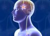 ‘Deep brain stimulation effective treatment for Parkinson’s patients’: Docs