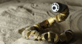 Snake Robots: Can You Watch This Without Squirming?
