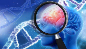 New study offers potential new drug targets for Alzheimer’s