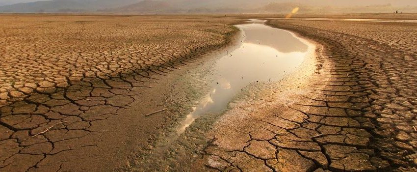 Drought watch: More than 44% of India now suffers