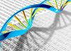 Study of multiethnic genomes identifies 27 genetic variants associated with disease