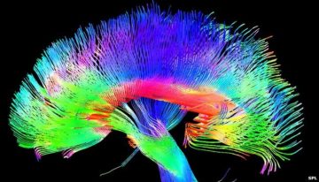 The brain’s pathways to imagination may hold the key to altruistic behavior