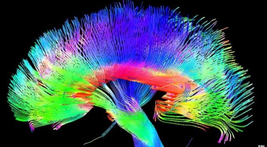 The brain’s pathways to imagination may hold the key to altruistic behavior