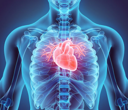 3D printing the human heart