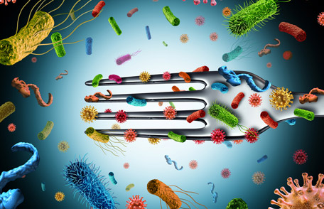 Antibiotic resistance in food-animals growing | Hrdots