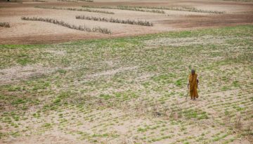 Desertification in India – Anantapuramu in Andhra