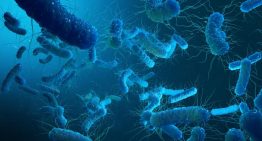 Scientists propose Controlled Human Infection Model studies