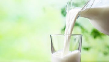Carcinogen Aflatoxin detected in FSSAI milk survey samples