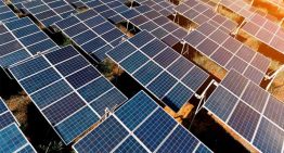 US cautions against lure of cheap Chinese solar imports