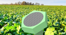 How Sensegrass, a Cisco LaunchPad portfolio company, is developing 360-degree smart farming solutions