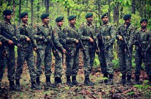 https://crpf.gov.in/about-sector-cobra-sector.htm